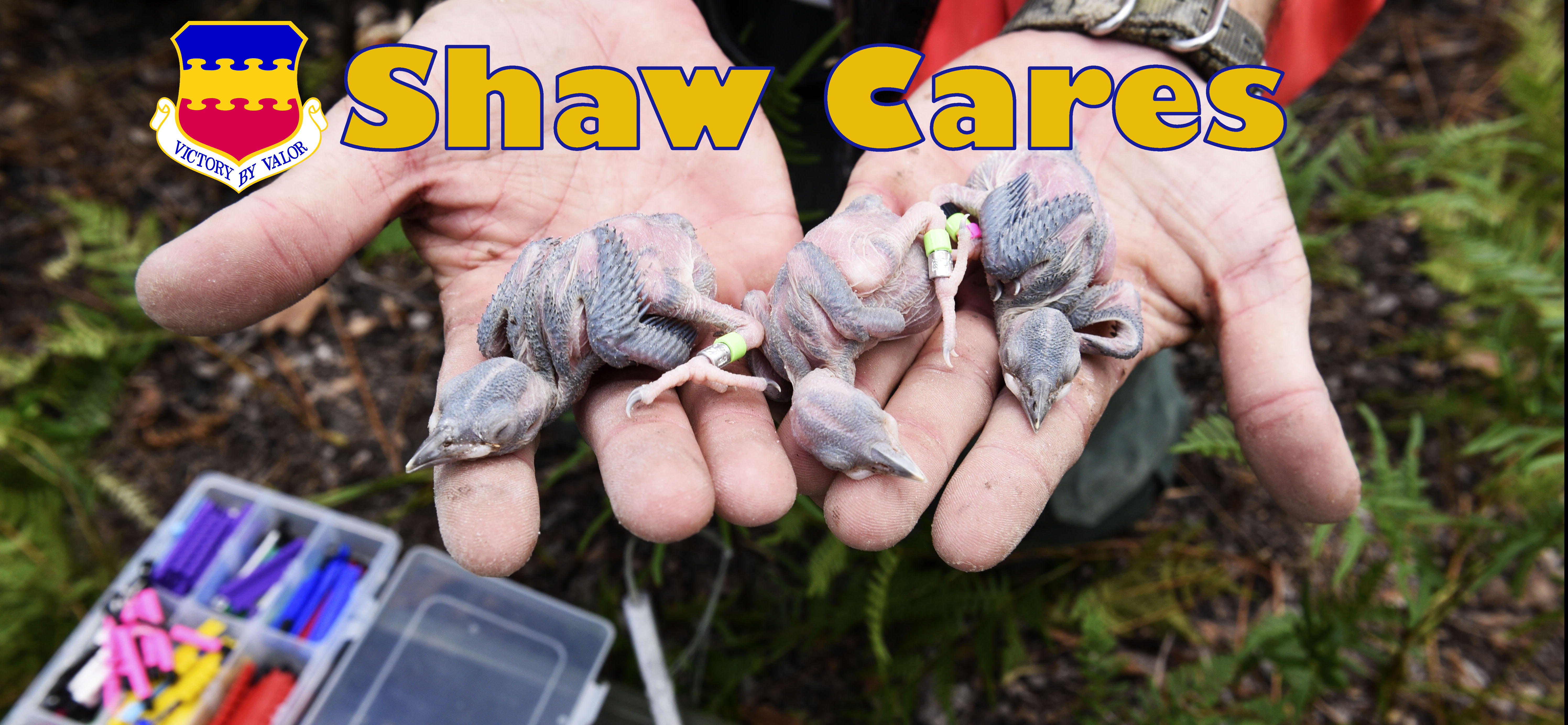 Mission, Airmen, Family graphic